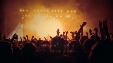 Público con las manos en alto frente al escenario en un recital