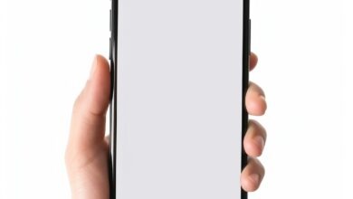 Persona sosteniendo un celular en la mano