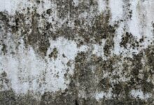Pared con manchas de humedad