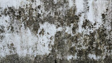 Pared con manchas de humedad