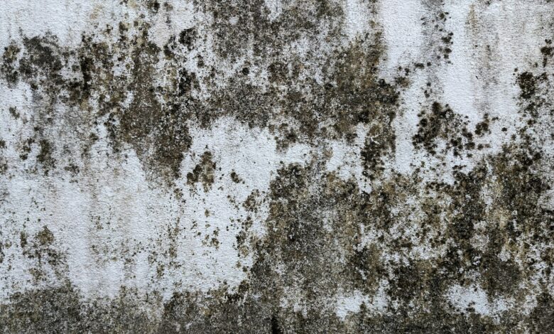 Pared con manchas de humedad