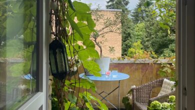 Balcón pequeño con plantas en macetas, sillas y una mesa al aire libre