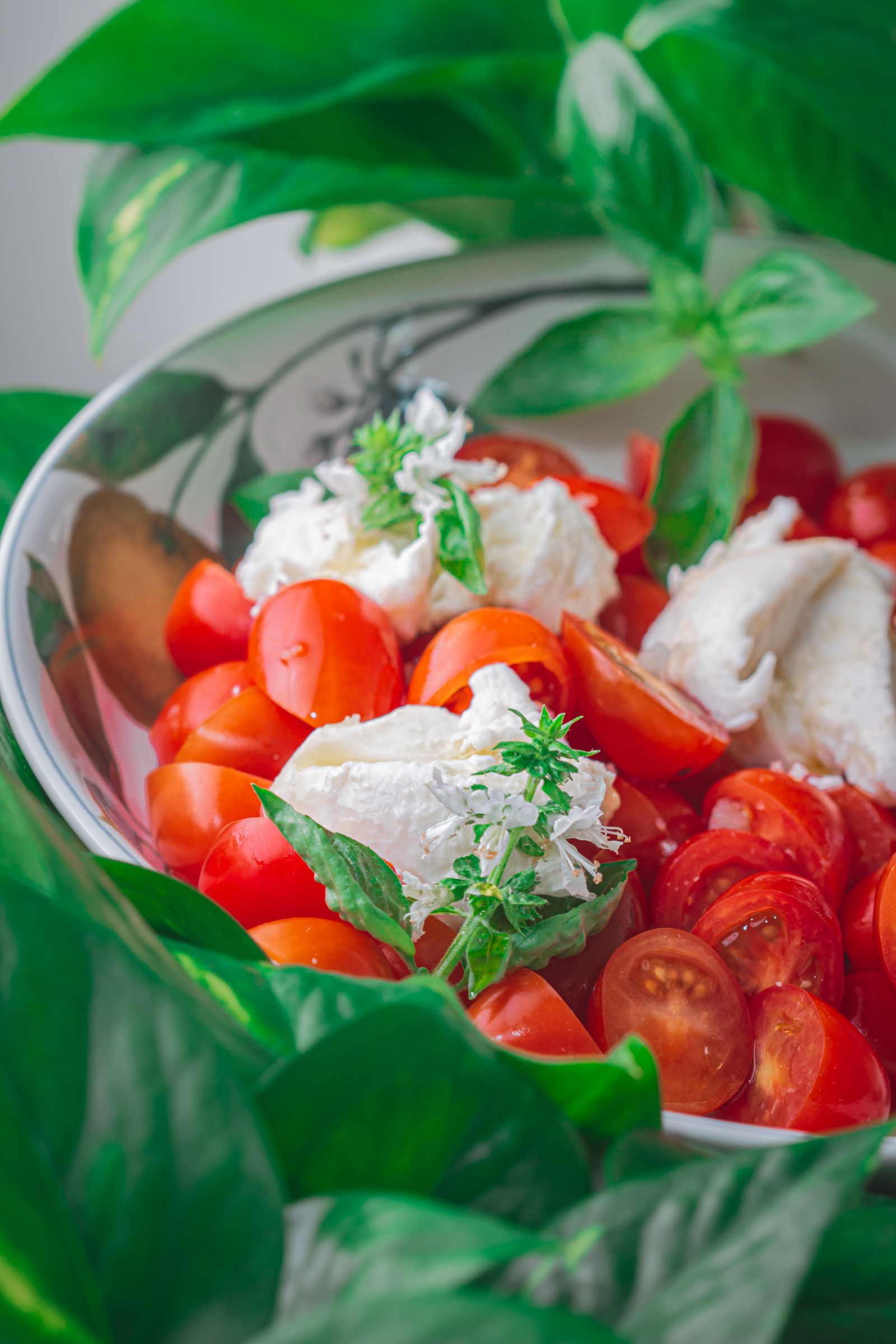 Ensalada caprese con tomates cherry, muzzarella y albahaca