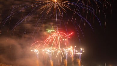Fuegos artificiales sobre el público en una celebración nocturna