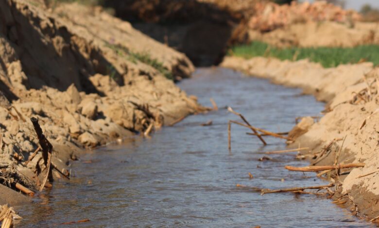 Canal de drenaje rural de tierra con agua, similar a los canales que se limpian en el sur santafesino