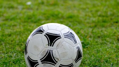 Pelota de fútbol sobre el césped de una cancha