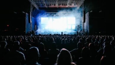 Público en un recital al aire libre de noche