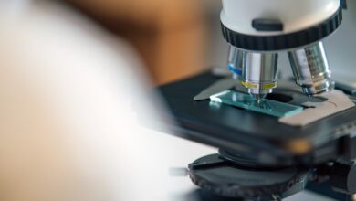 Microscopio de laboratorio con una muestra en la platina
