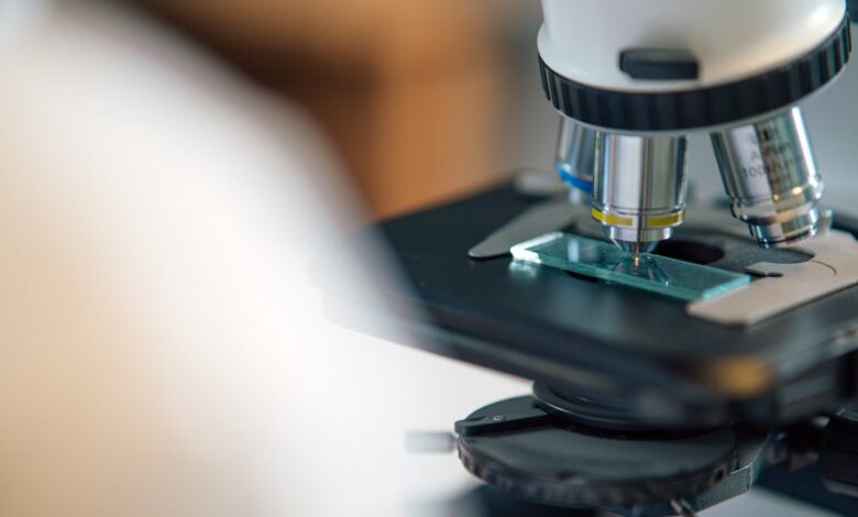 Microscopio de laboratorio con una muestra en la platina