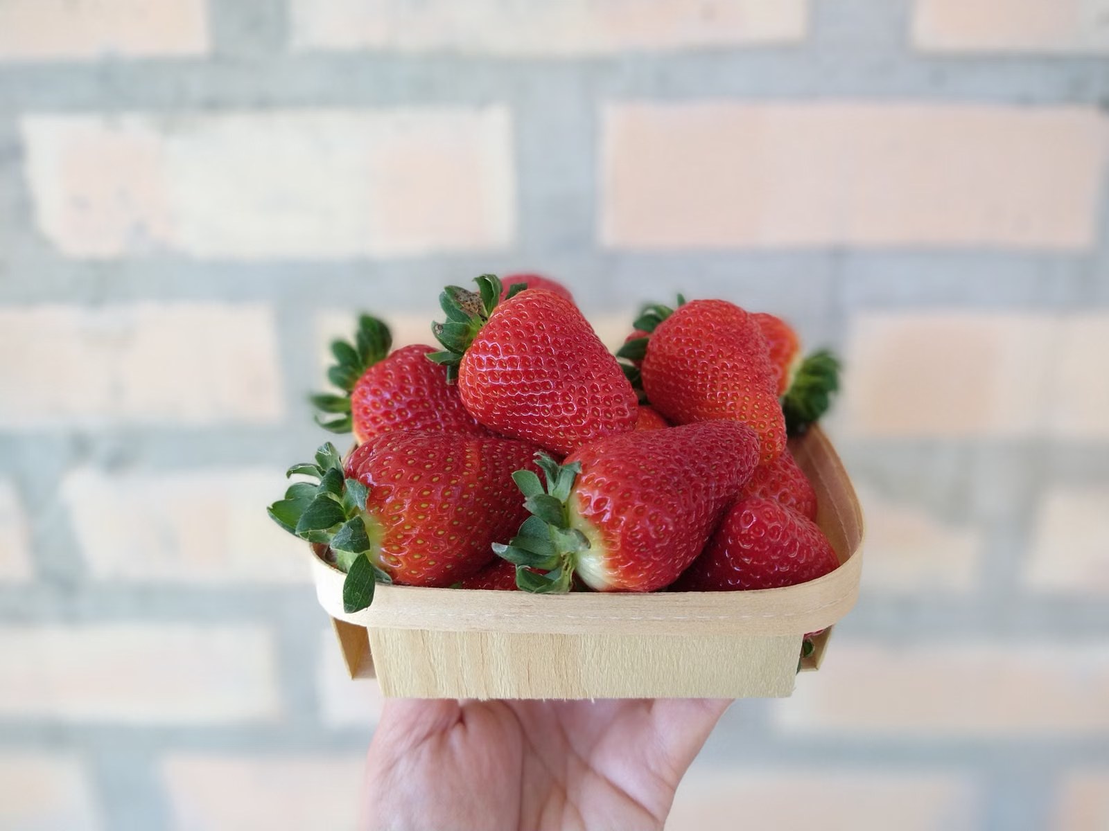 Mano sosteniendo una bandeja de frutillas rojas