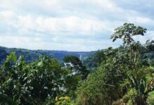 Zona del puente internacional Tancredo Neves entre Puerto Iguazú y Foz do Iguaçu