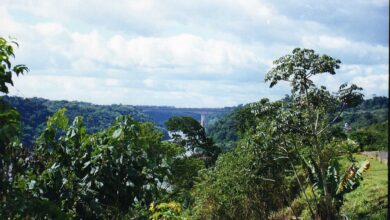 Zona del puente internacional Tancredo Neves entre Puerto Iguazú y Foz do Iguaçu