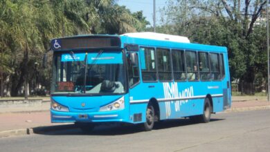 Colectivo urbano de Rosario detenido en una calle arbolada