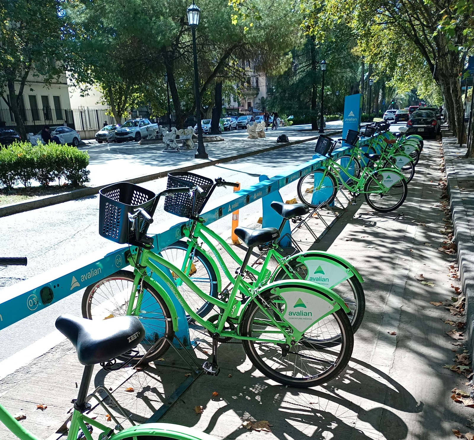 Estación de Mi Bici Tu Bici con bicicletas ancladas en una vereda arbolada de Rosario