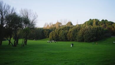 Parque verde con personas caminando bajo un cielo abierto