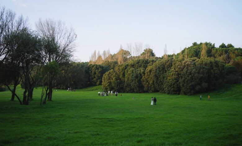 Parque verde con personas caminando bajo un cielo abierto