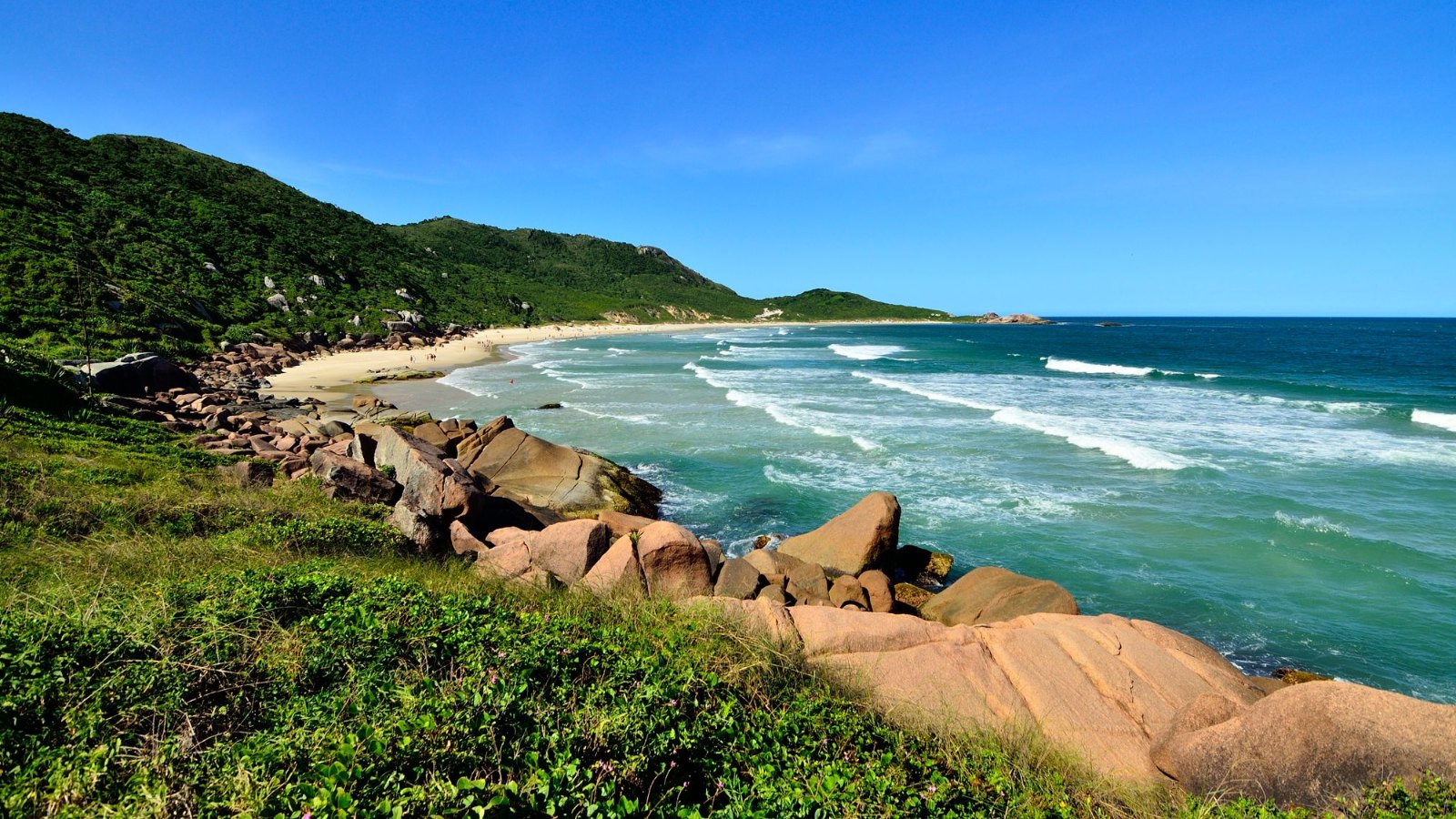 Playa de Galheta en Florianópolis con vegetación y mar