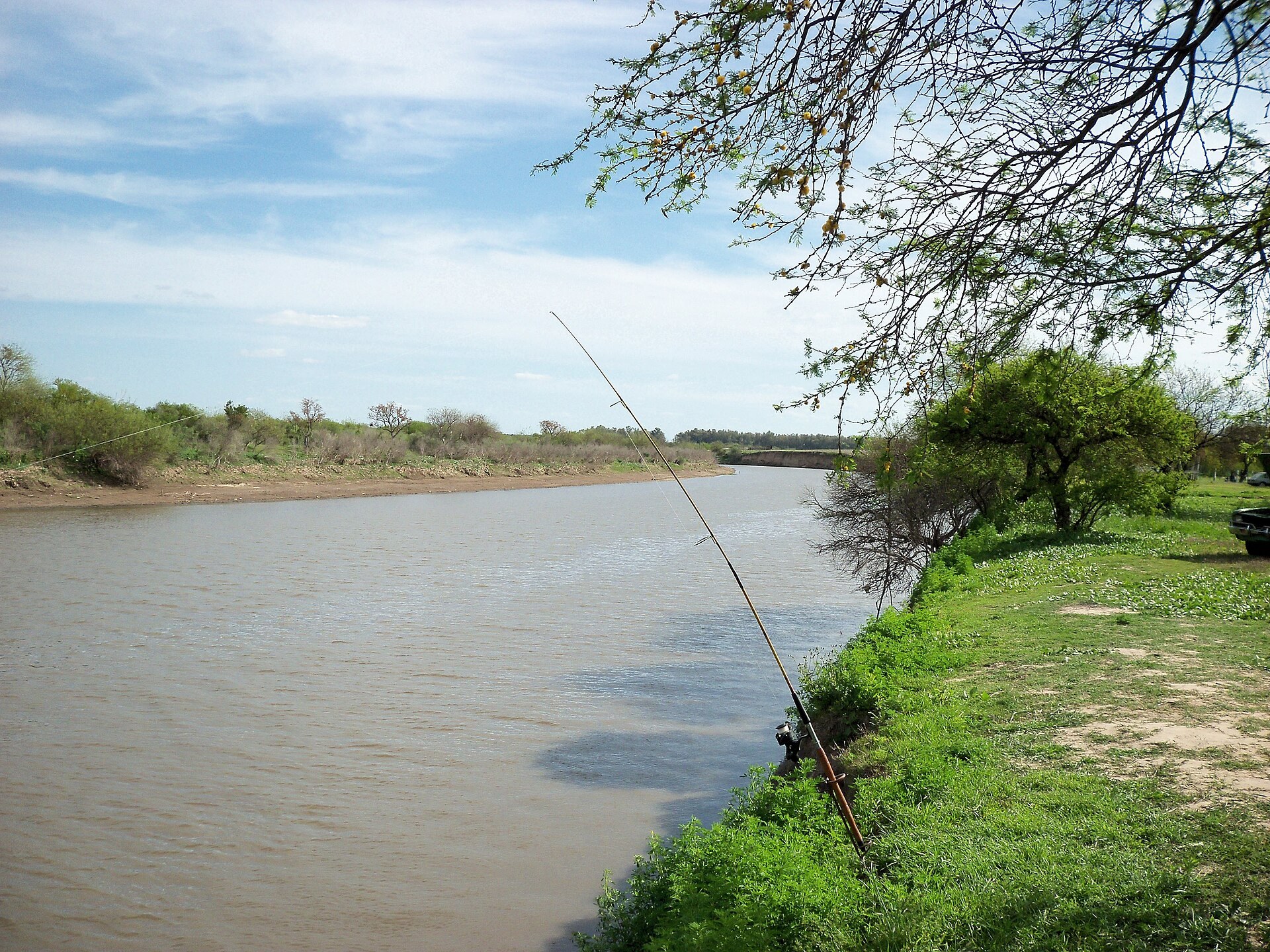 Orilla del río en Puerto Gaboto, Santa Fe, con vegetación