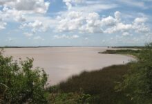 El río Paraná visto desde la barranca de Vuelta de Obligado, en San Pedro