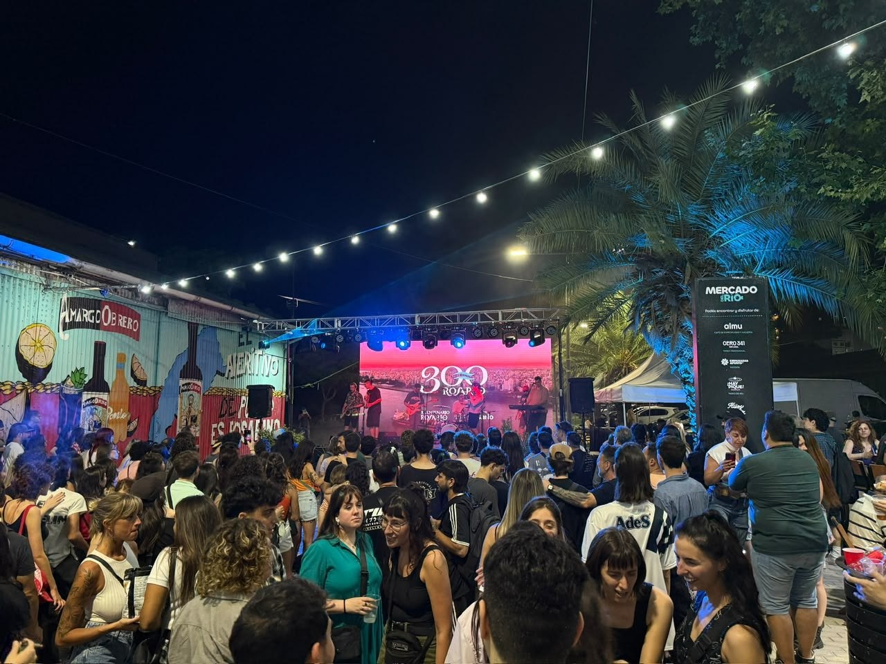 Público en el Festi del Río, en la costa central de Rosario, de noche