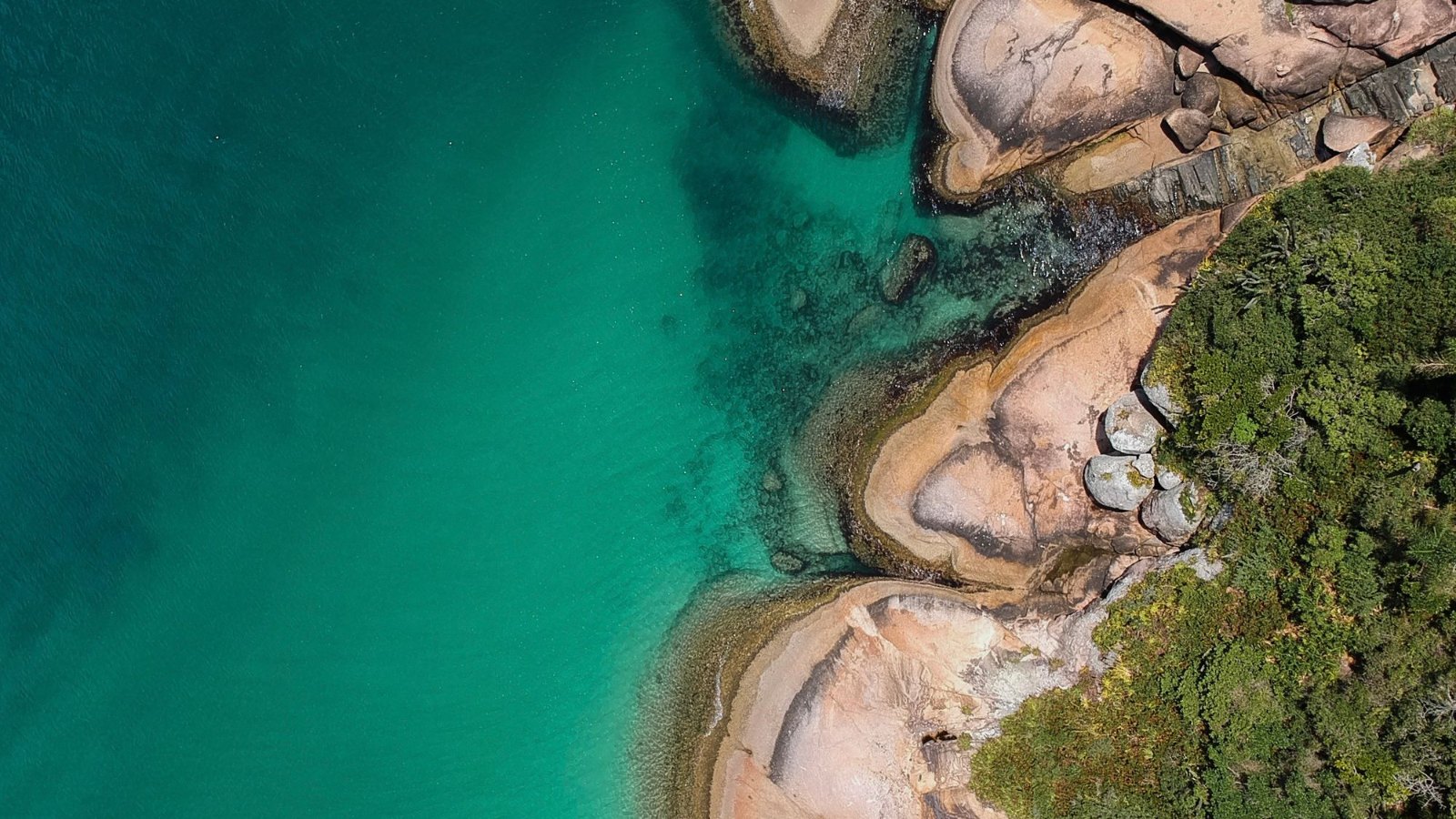 Costa de Florianópolis con agua turquesa vista desde el aire