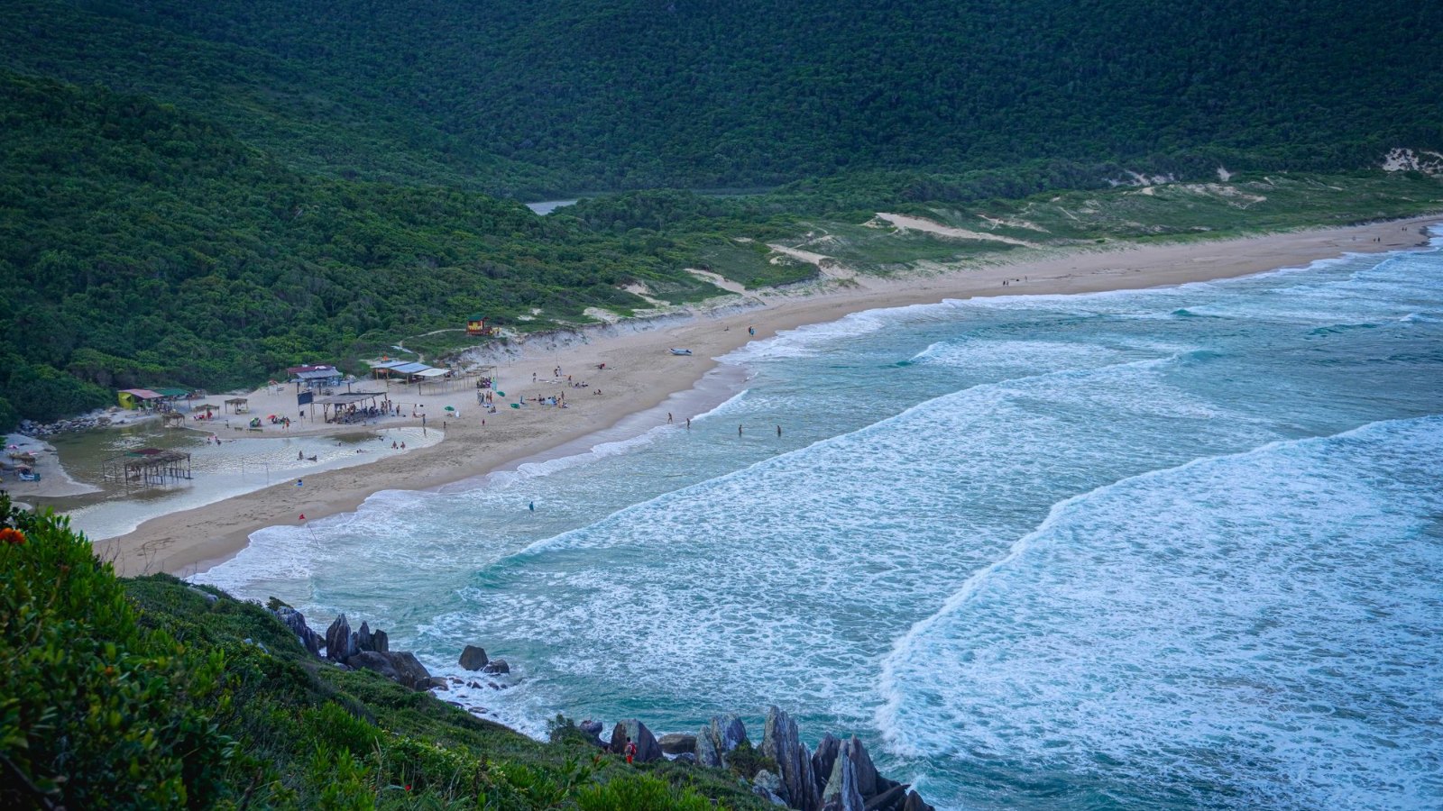 Vista aérea de una playa de Florianópolis rodeada de vegetación