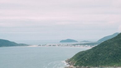 Costa de Florianópolis con colinas verdes y mar abierto