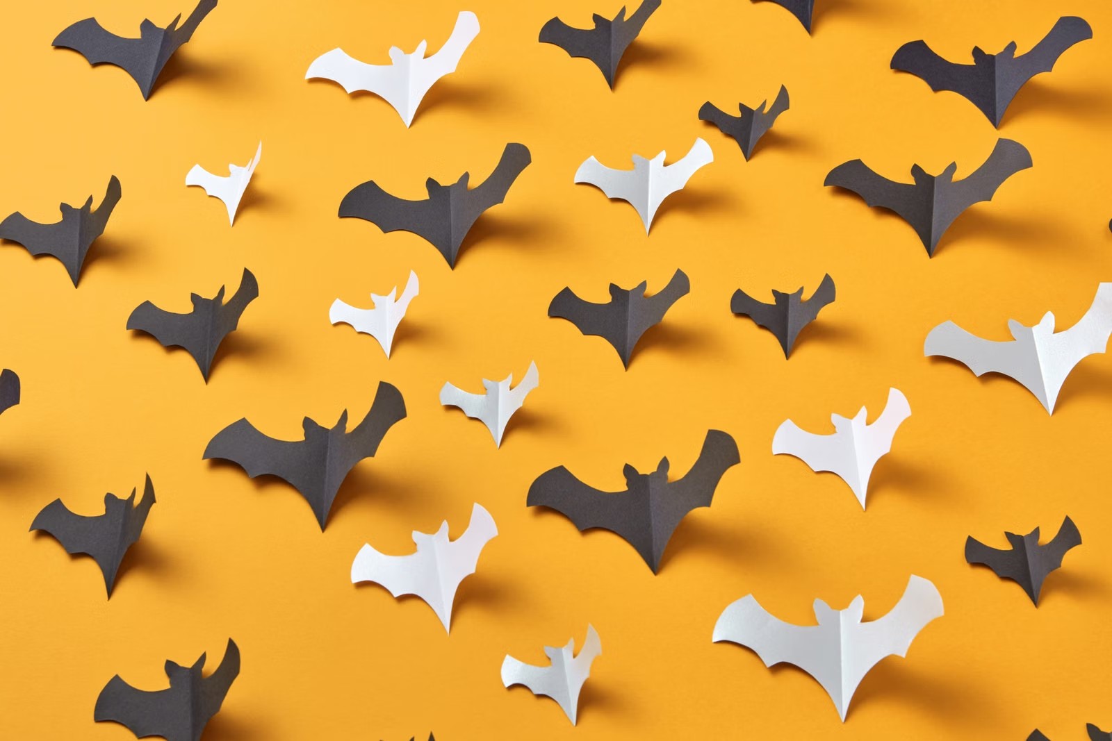 Murciélagos de papel negro y blanco sobre un fondo naranja