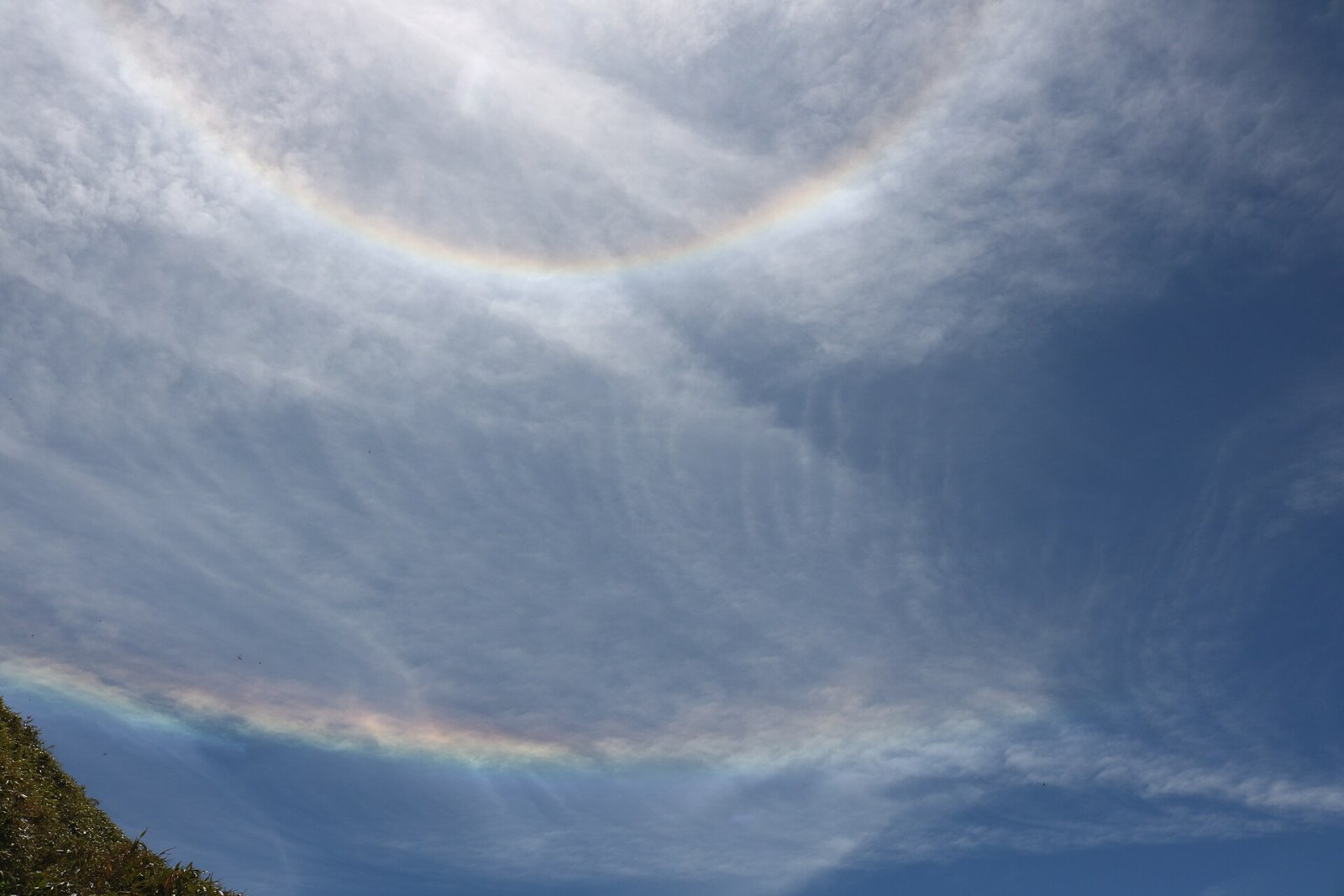 Halo solar y arco circunhorizontal en un cielo con nubes cirros