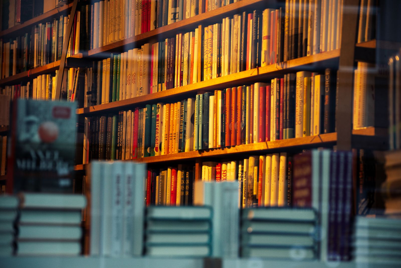 Interior de una librería con estanterías llenas de libros vistas a través de una vidriera