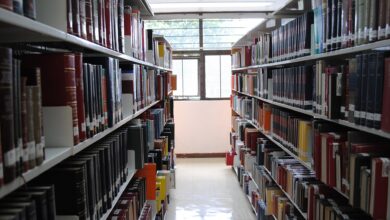 Estantes llenos de libros, imagen ilustrativa