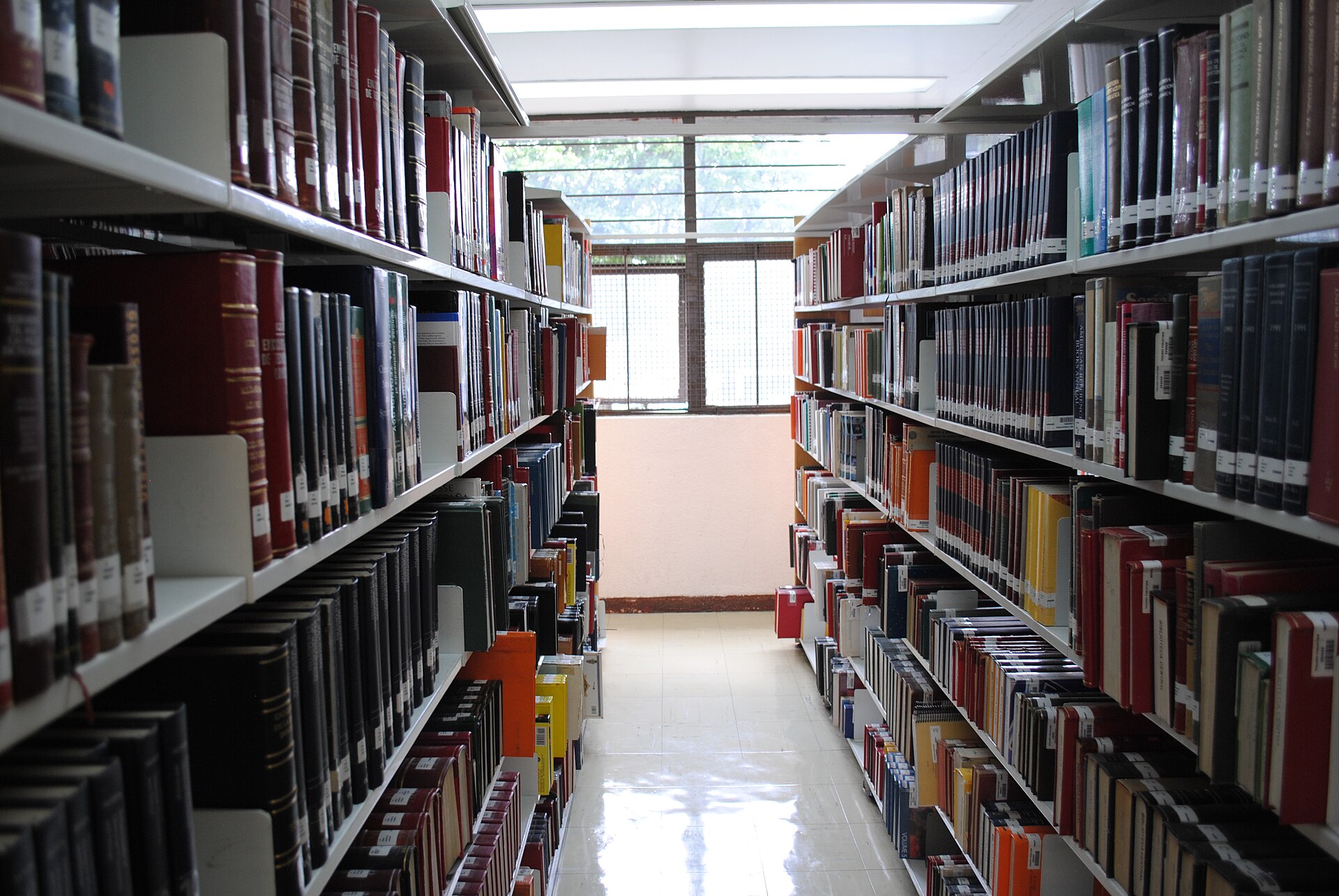 Estantes llenos de libros, imagen ilustrativa