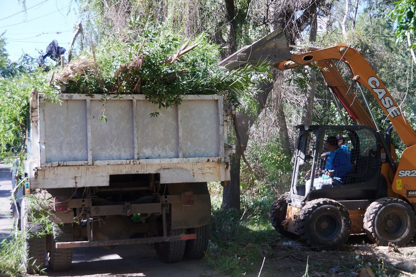 Camión y pala cargadora municipales retiran ramas y malezas de un terreno baldío en Fisherton Norte, Rosario