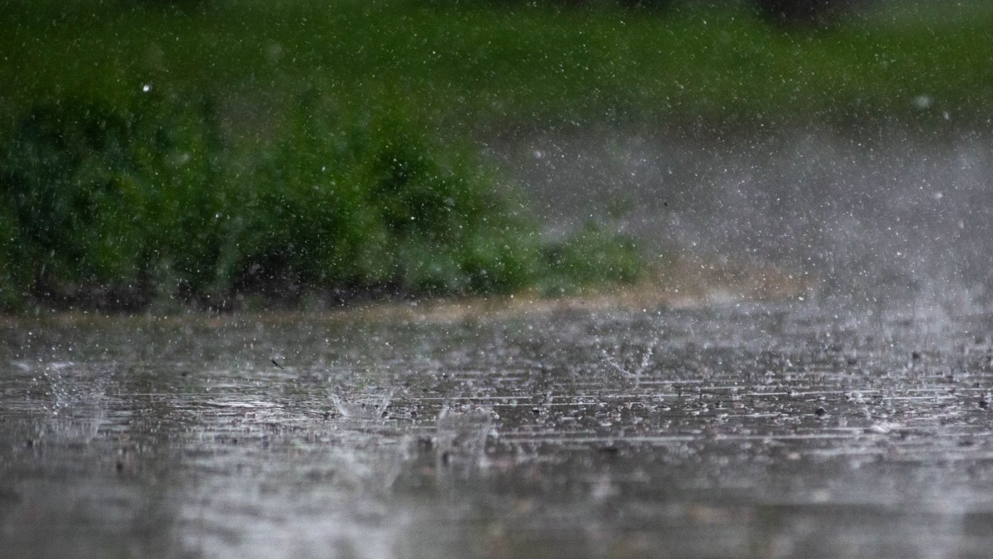 Lluvia intensa golpeando el pavimento junto a un jardín