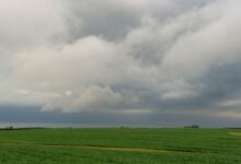 Nubes de tormenta sobre un campo verde