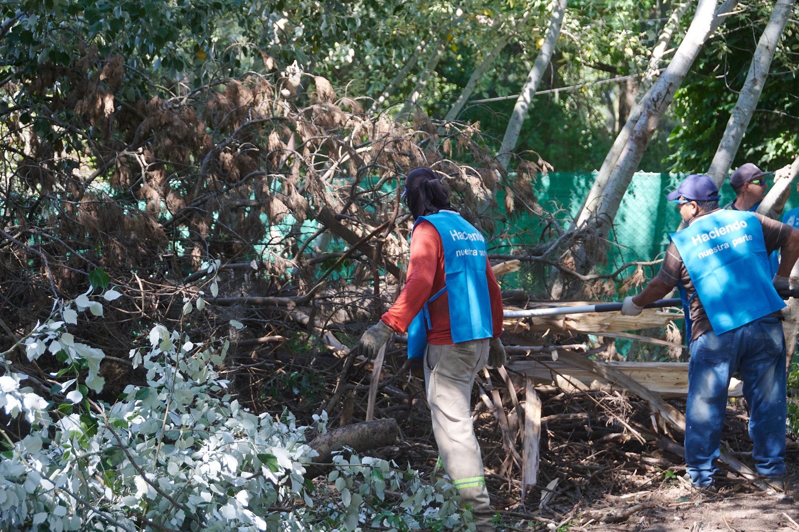 Operarios municipales con chaleco celeste cortan ramas en un terreno abandonado de Rosario