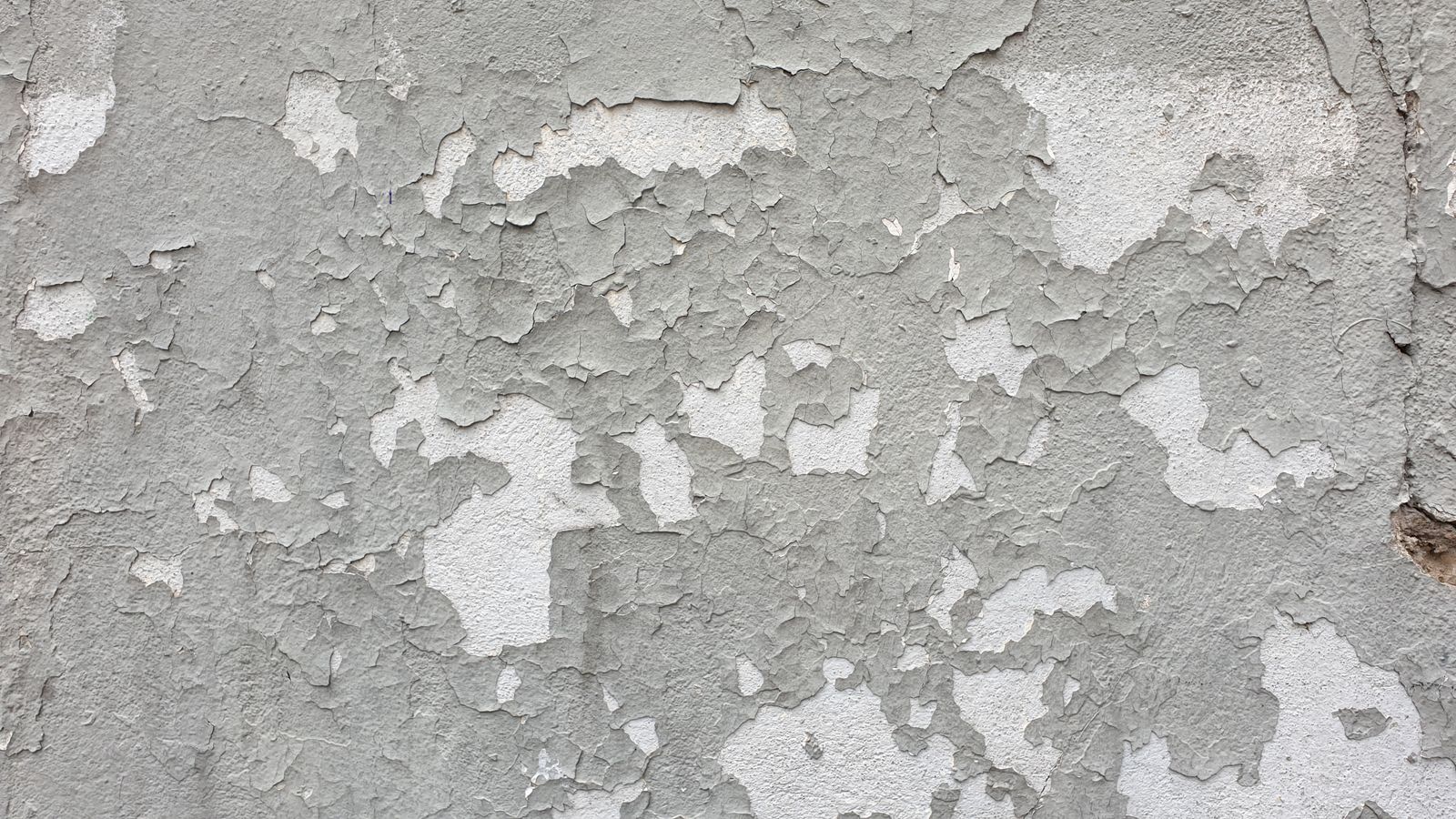 Pared gris con la pintura saltada en varias zonas