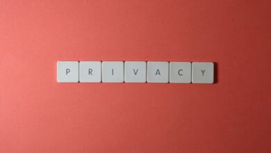 Persona usando un celular para revisar la privacidad de sus datos