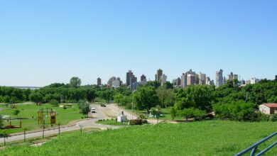 Vista de Rosario desde el Campito de la costanera, con cielo despejado y pasto verde