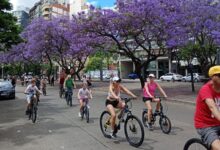 Ciclistas pedaleando por la avenida Arturo Illia, frente al Parque de las Colectividades, con jacarandás en flor