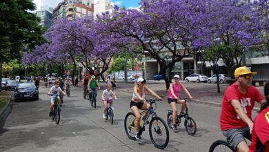 Ciclistas pedaleando por la avenida Arturo Illia, frente al Parque de las Colectividades, con jacarandás en flor
