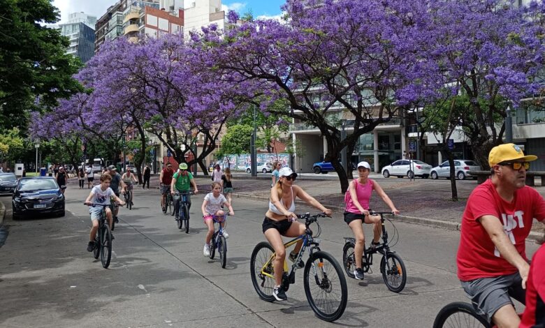 Ciclistas pedaleando por la avenida Arturo Illia, frente al Parque de las Colectividades, con jacarandás en flor