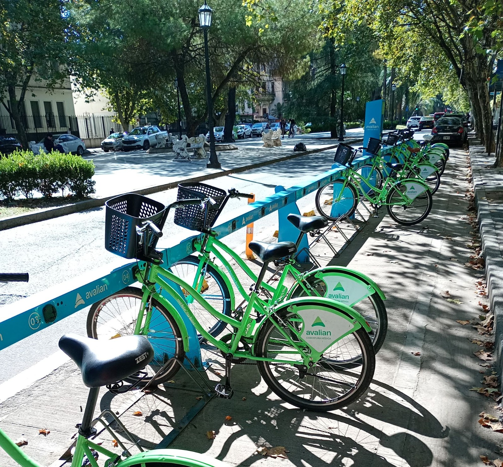 Estación de Mi Bici Tu Bici con bicicletas ancladas en una vereda arbolada de Rosario