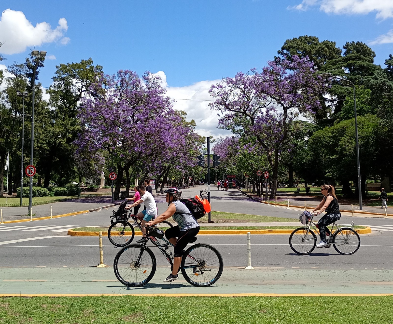 Ciclistas en el Parque de la Independencia, en bulevar Oroño e Intendente Morcillo, con jacarandás florecidos